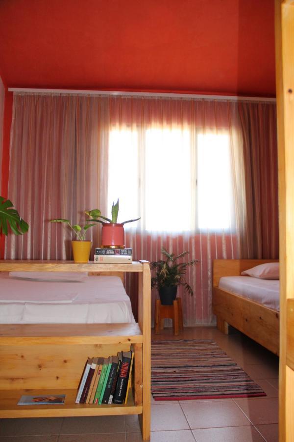 Cozy Big Apartment With Balcony Τίρανα Εξωτερικό φωτογραφία